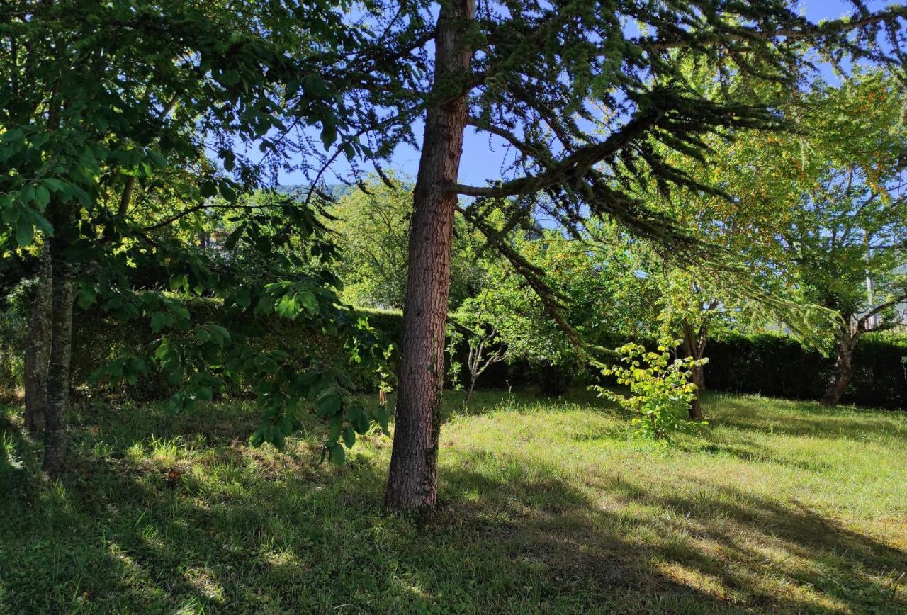 Le Nopal Bleu Appartement Tarascon-sur-Ariège Buitenkant foto